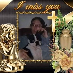 Meet your Posher, Merry